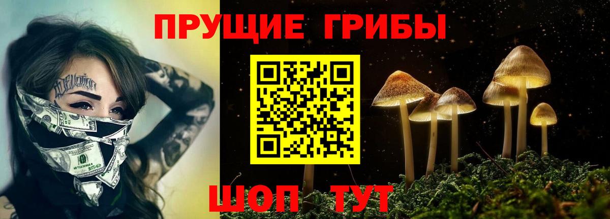 Галлюциногенные грибы мицелий  Вход с VPN  Джанкой 